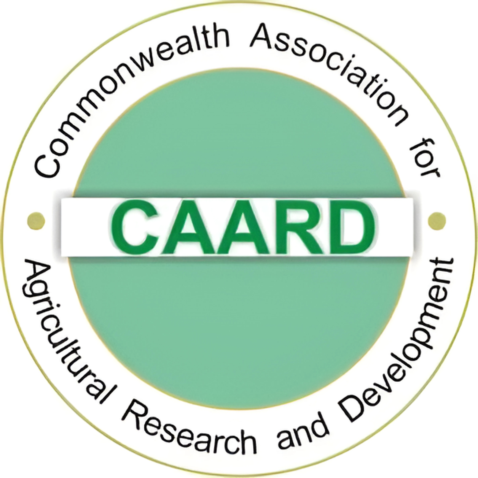 The Updates About CAARD